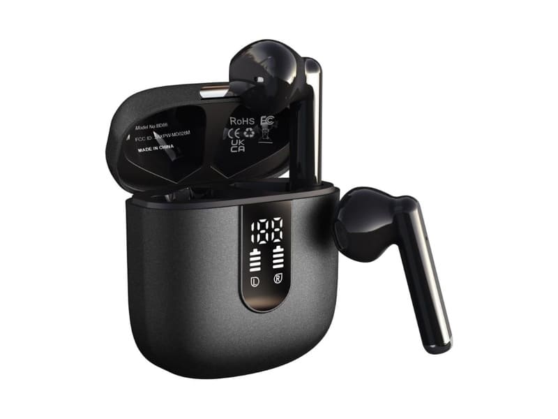 Portable Wireless Earbuds with Carry Case